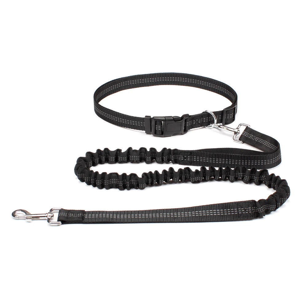 Experience Ultimate Freedom with Our Adjustable Hands-Free Dog Leash for Walking, Running, and Jogging!