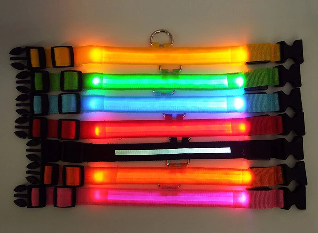 LED Adjustable Blinking Collar  Waterproof