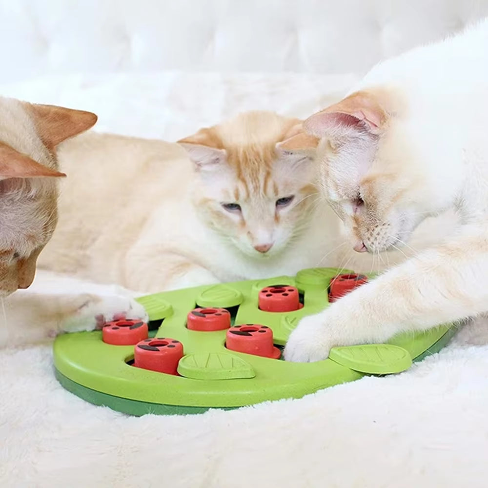 Engaging Interactive Cat Treat Puzzle - Keep Your Feline Entertained with the Rainy Day Puzzle & Play!