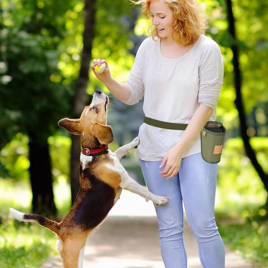 Portable Dog Treat Bag