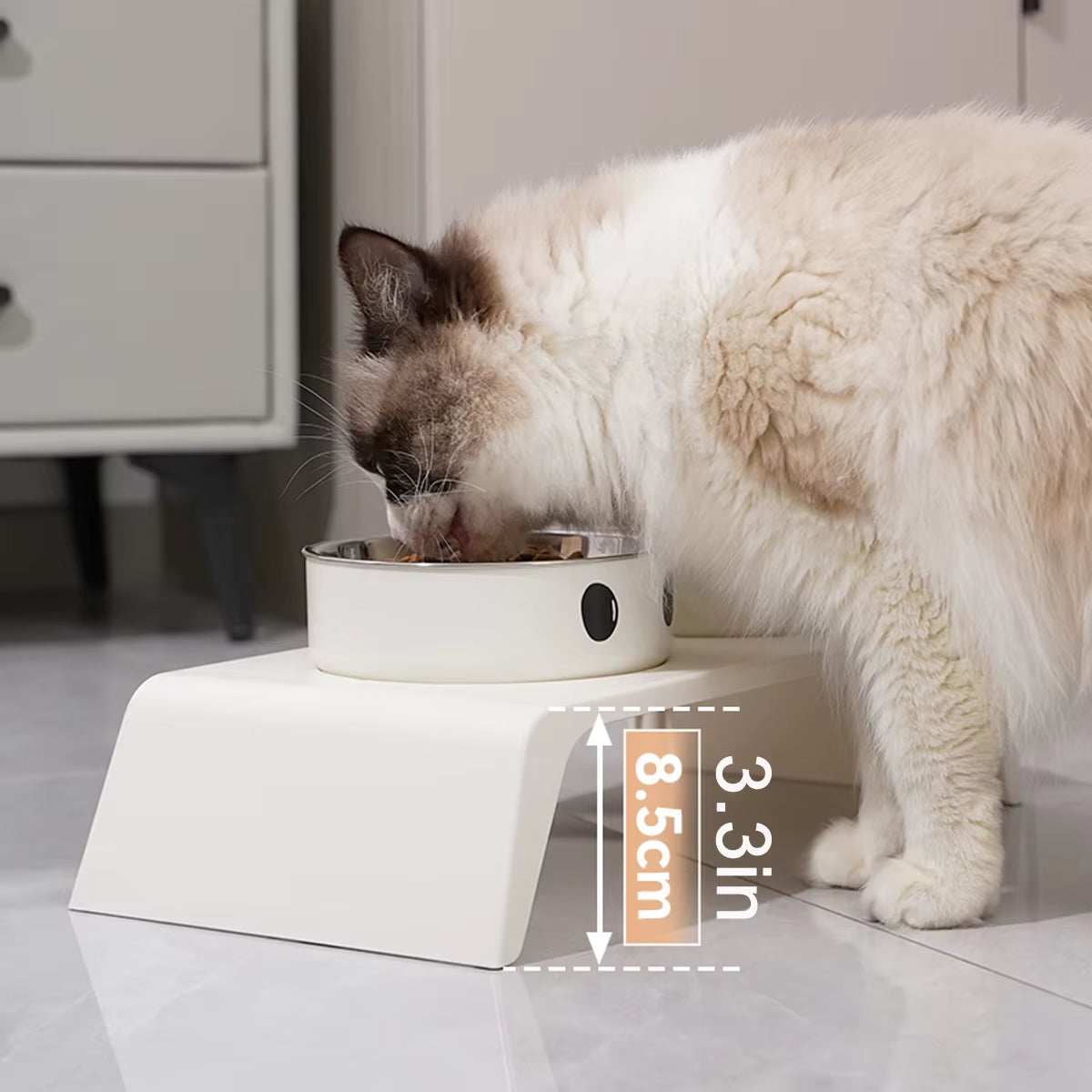 Elevate Your Pet's Dining Experience with Our Stylish Raised Dog Feeder Bowls - Perfect for Small to Large Dogs and Cats!