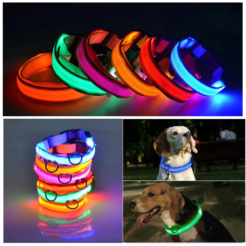 LED Adjustable Blinking Collar  Waterproof