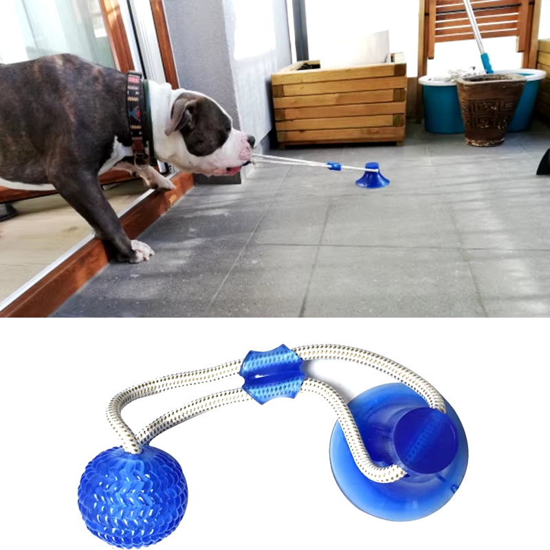 Engaging Dog Interactive Suction Cup Push TPR Ball - Molar Bite Toy with Elastic Ropes for Chewing and Dental Care
