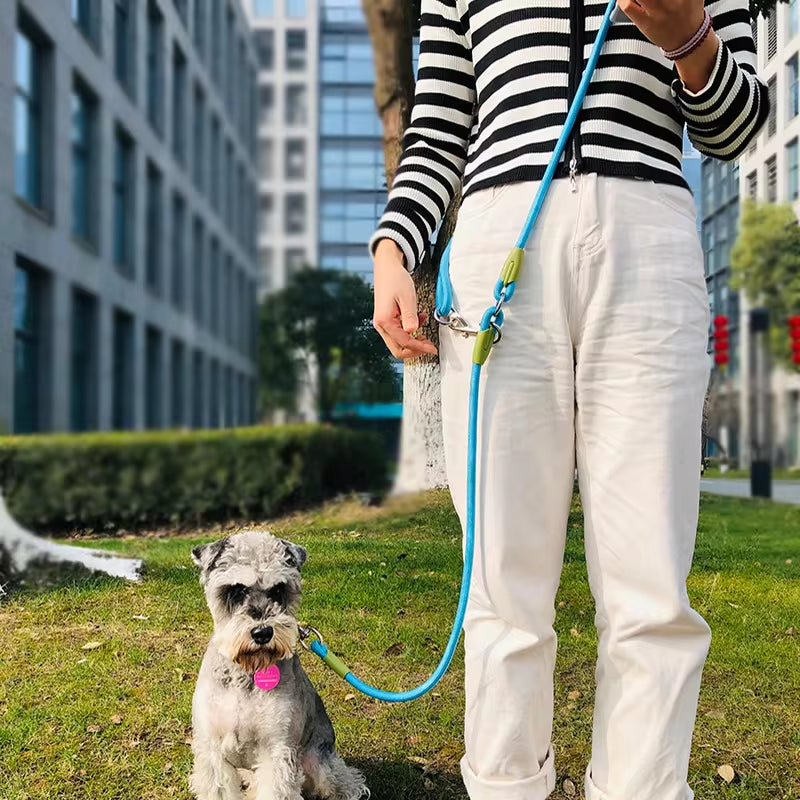 Hands-Free Reflective Nylon Leash for Dogs - Perfect for Running and Walking with Your Pet