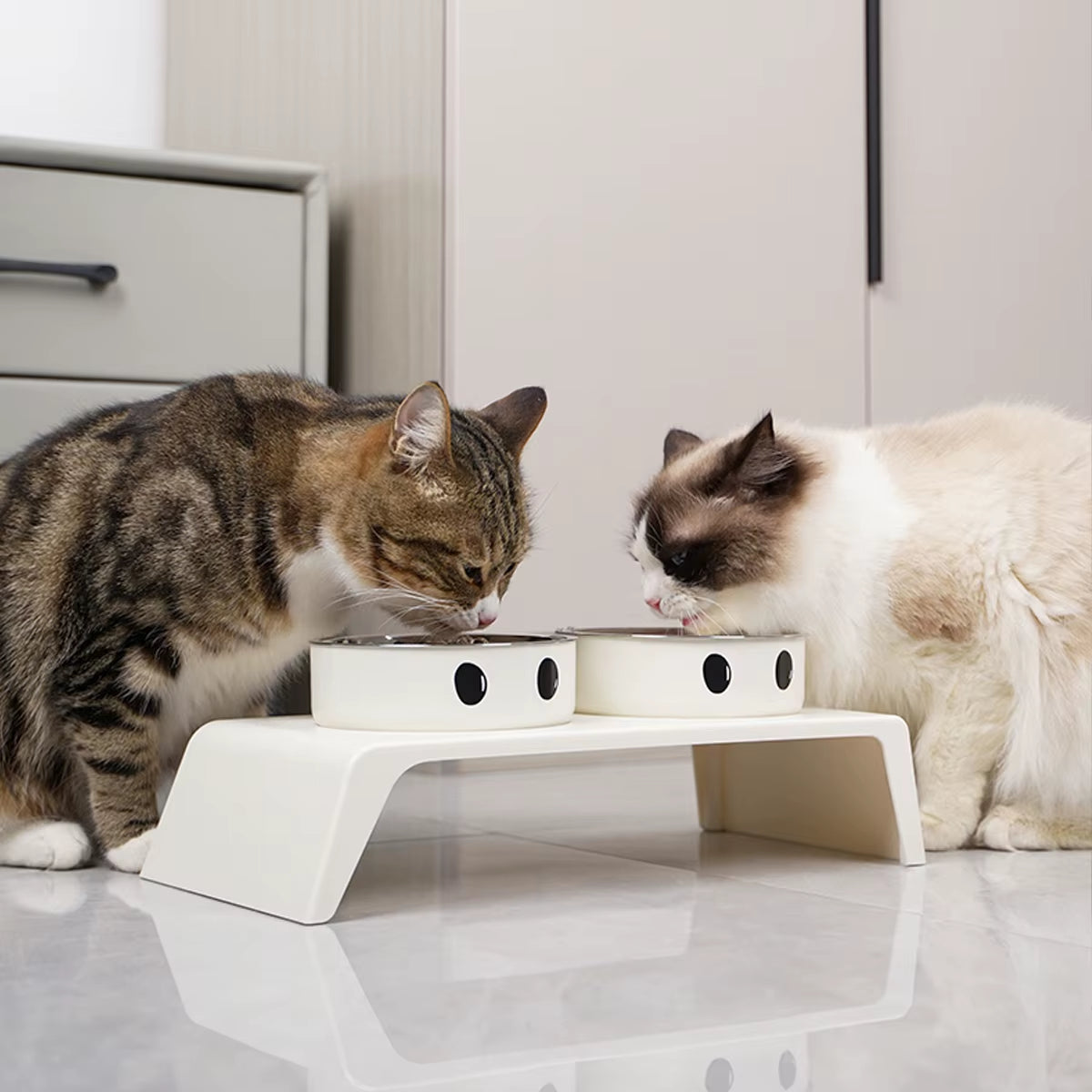 Elevate Your Pet's Dining Experience with Our Stylish Raised Dog Feeder Bowls - Perfect for Small to Large Dogs and Cats!
