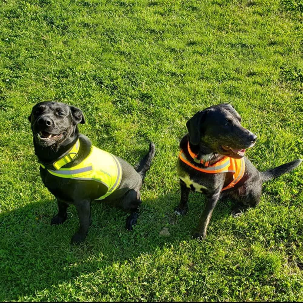 Enhance Your Dog's Safety with the Medium Lite Dog Vest - Reflective Hi-Visibility for Ultimate Protection