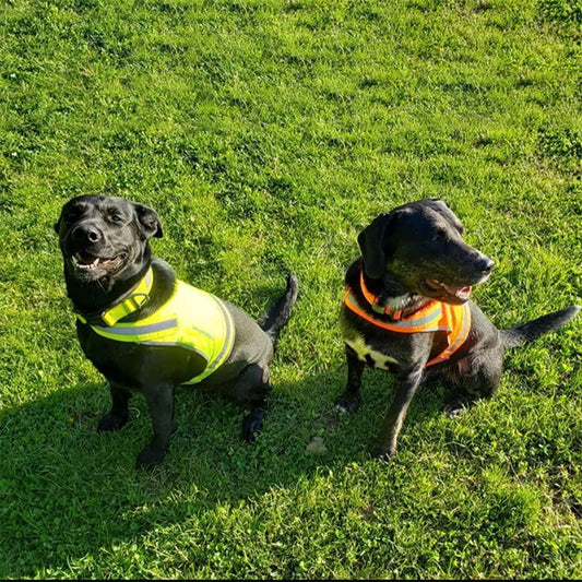 Enhance Your Dog's Safety with the Medium Lite Dog Vest - Reflective Hi-Visibility for Ultimate Protection