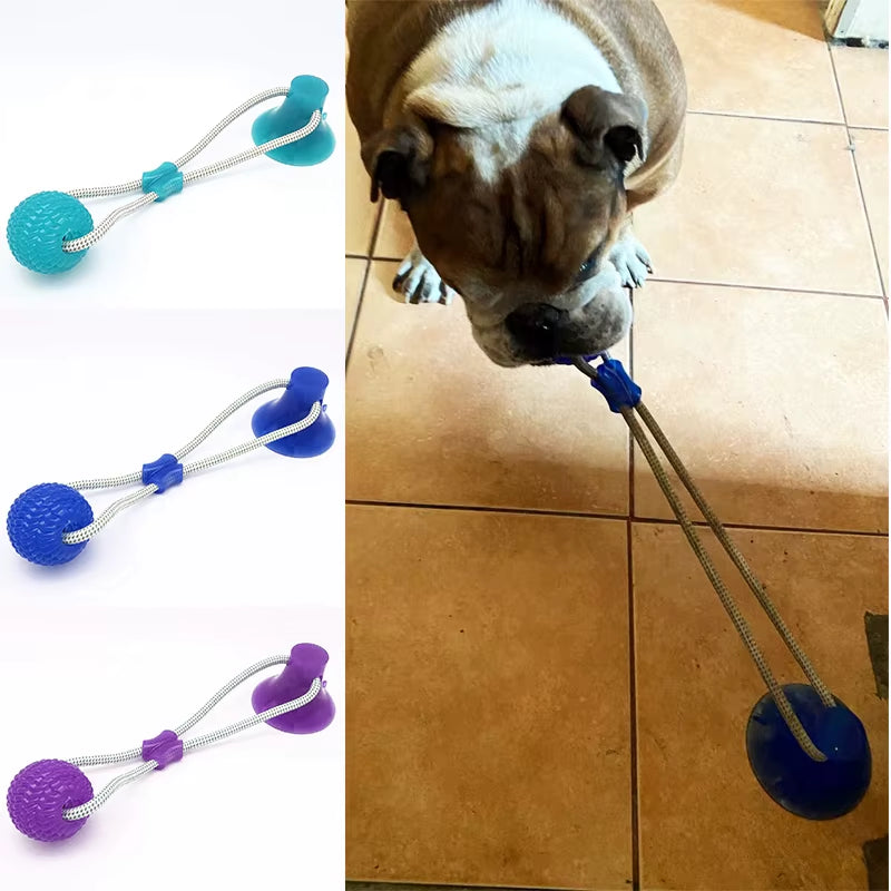 Engaging Dog Interactive Suction Cup Push TPR Ball - Molar Bite Toy with Elastic Ropes for Chewing and Dental Care