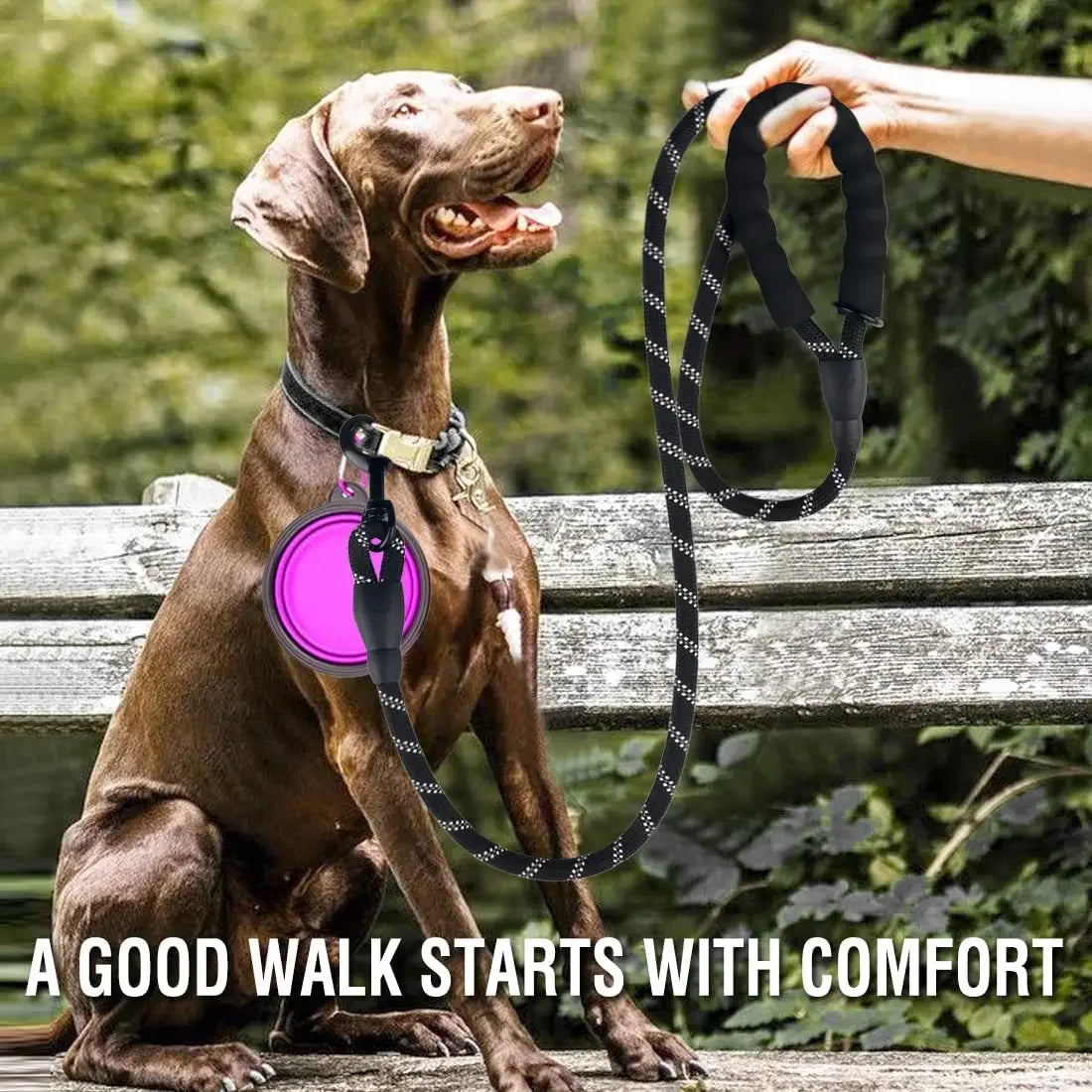 Durable Reflective Dog Leash for All Breeds - Perfect for Large, Medium, and Small Dogs!