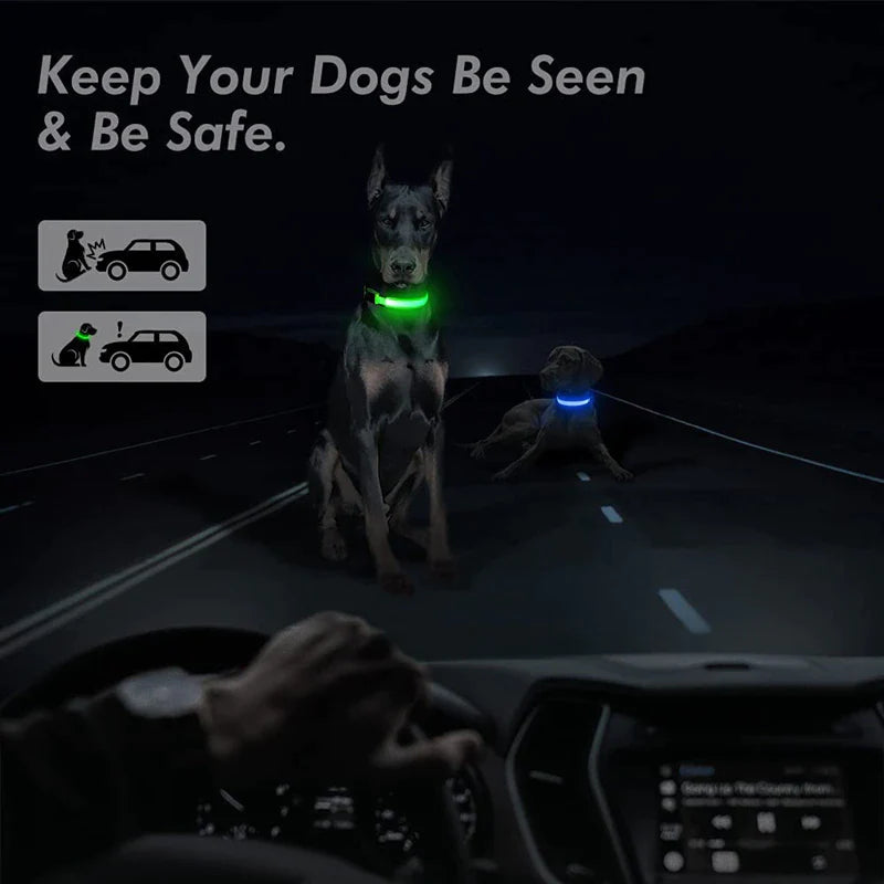 LED Adjustable Blinking Collar  Waterproof