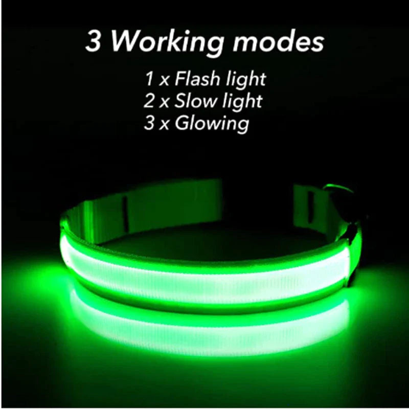 LED Adjustable Blinking Collar  Waterproof