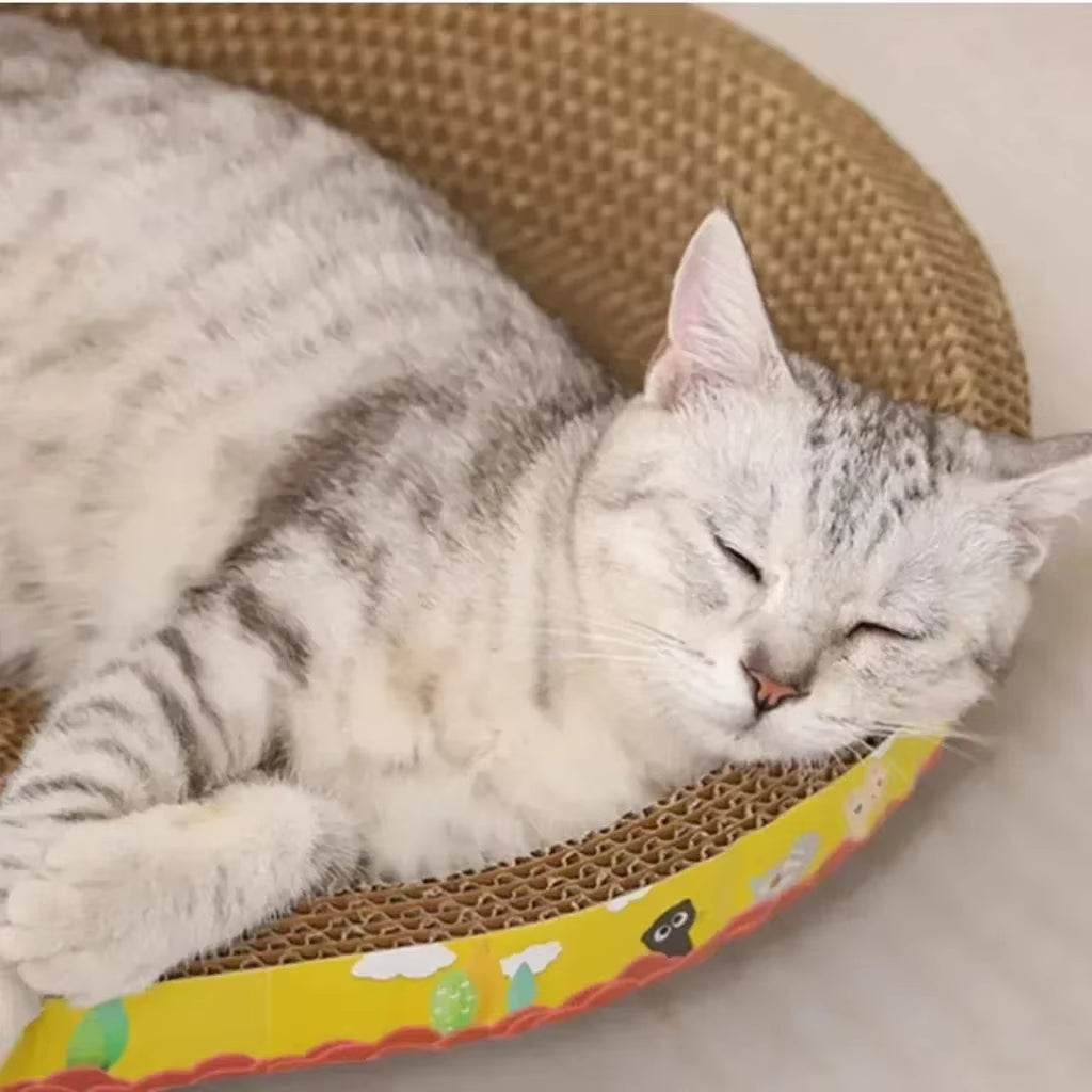 Cat resting on a colorful cat scratching board, showcasing comfort and relaxation in its cozy space.