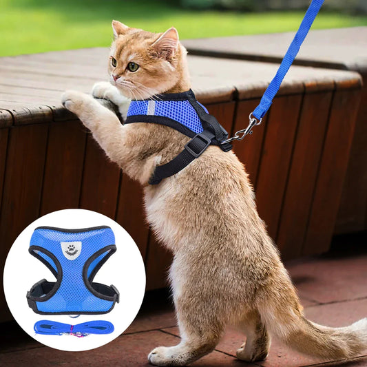 Ultimate Adjustable Reflective Pet Harness for Dogs and Cats - Escape-Proof Control Vest with Leash in S, M, L, XL