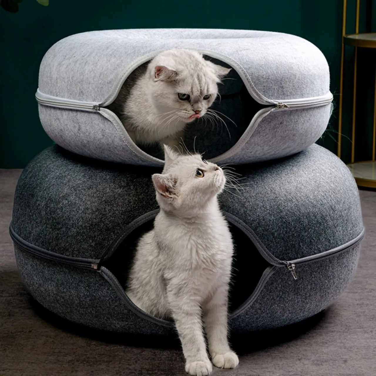 Cozy Donut Cat Bed with Interactive Tunnel - Perfect Indoor Playhouse for Your Feline Friend