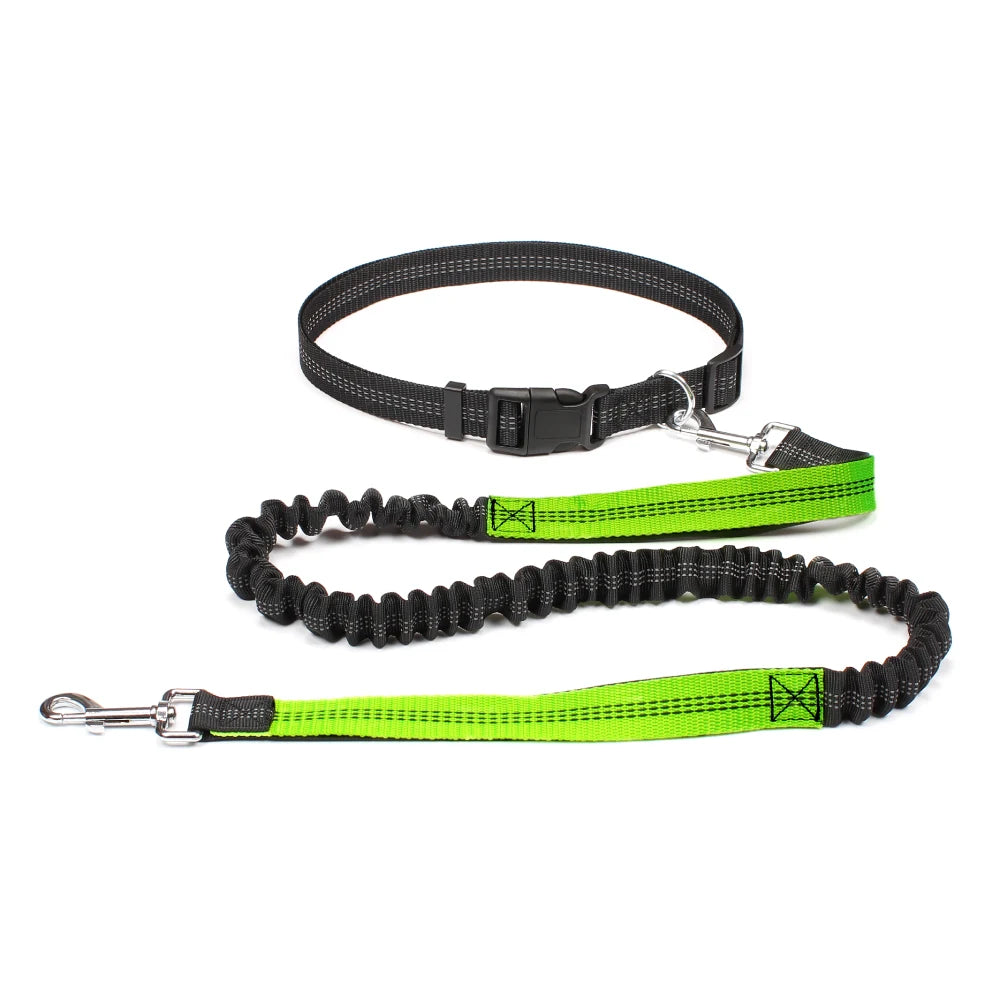 Experience Ultimate Freedom with Our Adjustable Hands-Free Dog Leash for Walking, Running, and Jogging!