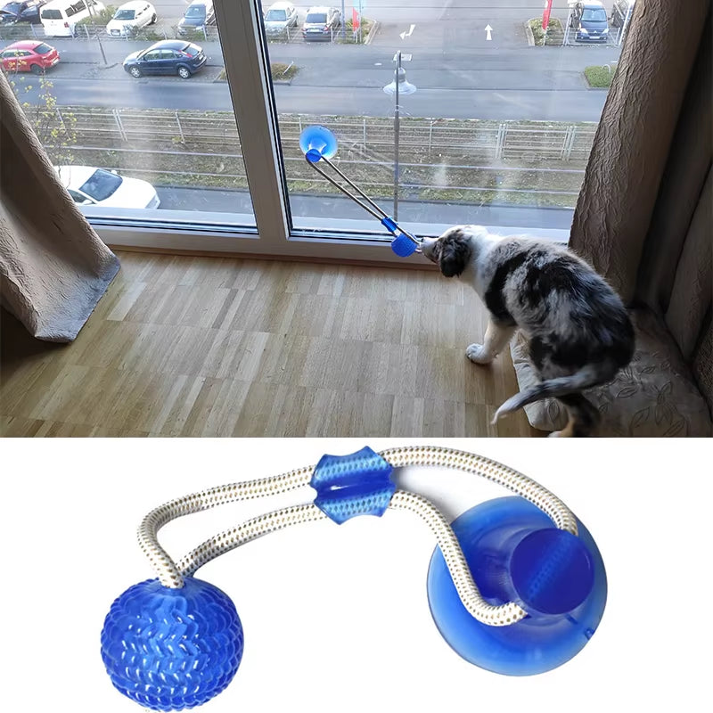 Engaging Dog Interactive Suction Cup Push TPR Ball - Molar Bite Toy with Elastic Ropes for Chewing and Dental Care
