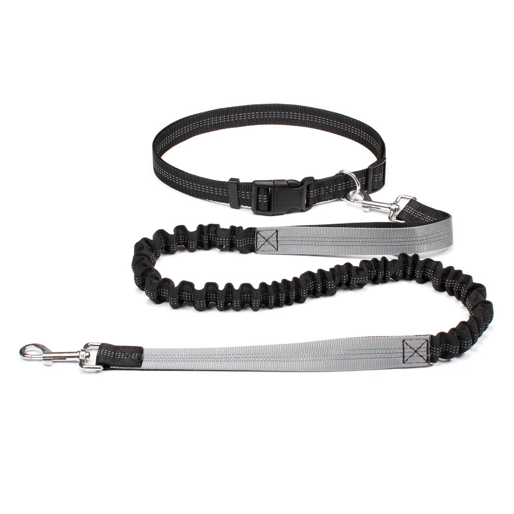 Experience Ultimate Freedom with Our Adjustable Hands-Free Dog Leash for Walking, Running, and Jogging!