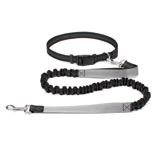 Experience Ultimate Freedom with Our Adjustable Hands-Free Dog Leash for Walking, Running, and Jogging!