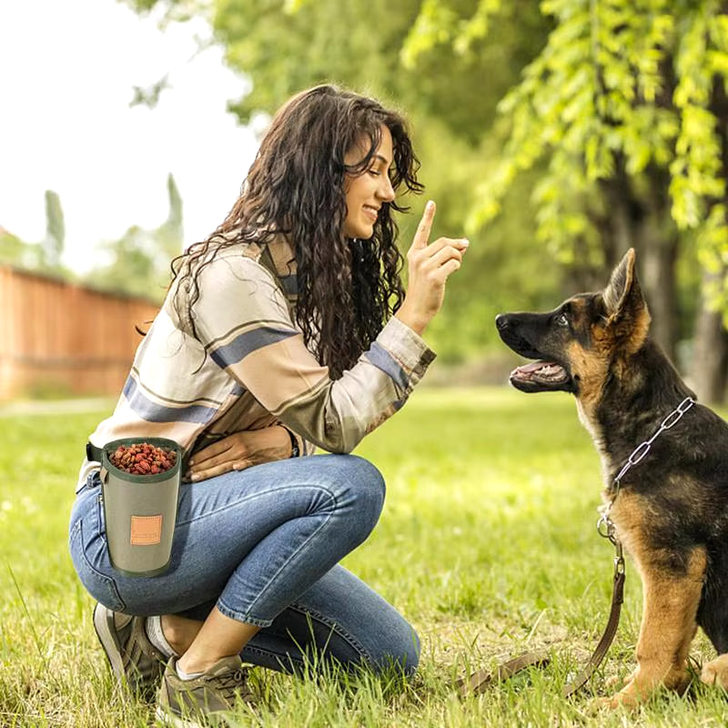Portable Dog Treat Bag