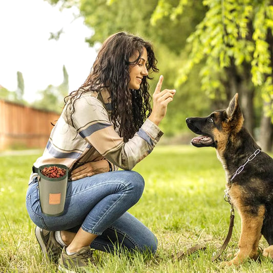 Portable Dog Treat Bag
