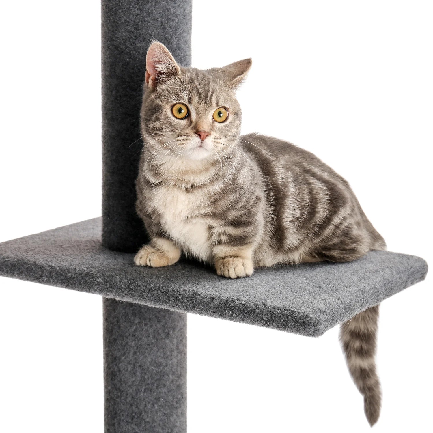 Elevate Your Cat's Playtime with the Adjustable 90-107" Gray Floor to Ceiling Cat Tree Tower - 4 Tier Climbing Posts & Cozy Perches!