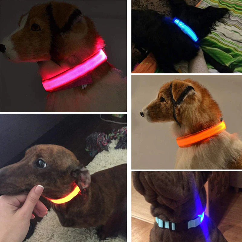 LED Adjustable Blinking Collar  Waterproof