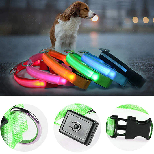 LED Adjustable Blinking Collar  Waterproof