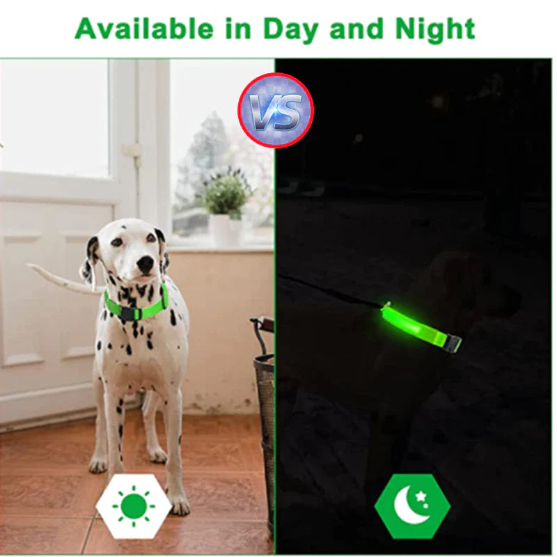 LED Adjustable Blinking Collar  Waterproof