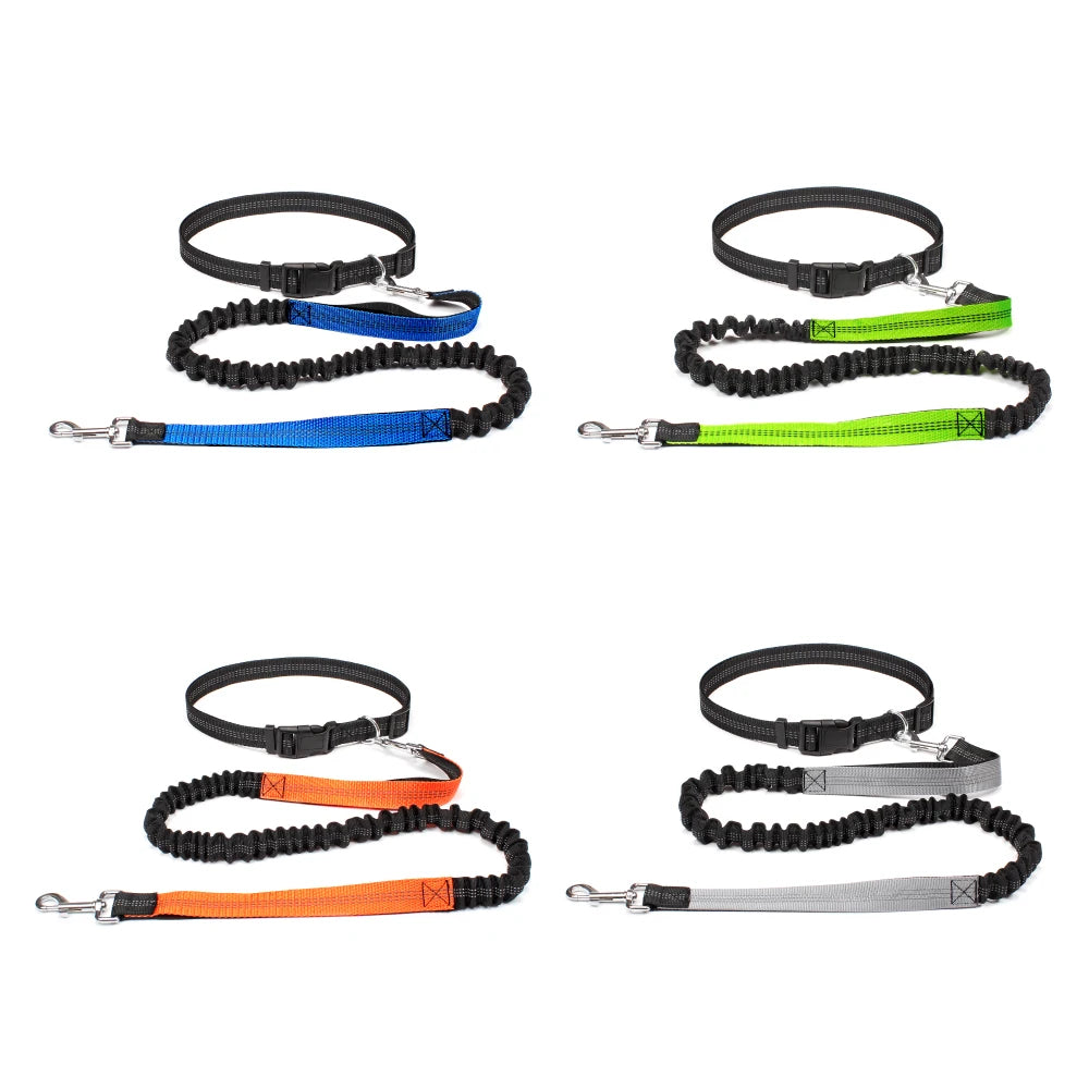 Experience Ultimate Freedom with Our Adjustable Hands-Free Dog Leash for Walking, Running, and Jogging!