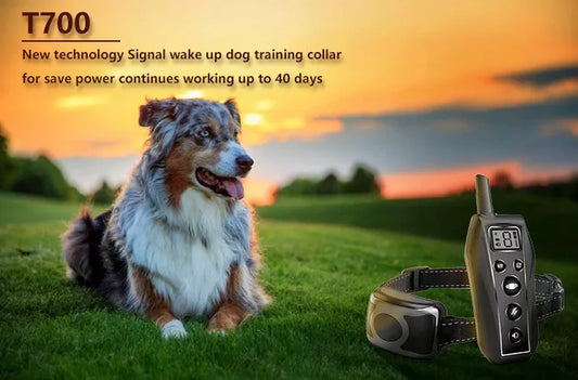 Revolutionary 650 YD Waterproof Remote Dog Training Shock Collar for All Dog Sizes - Train with Confidence!