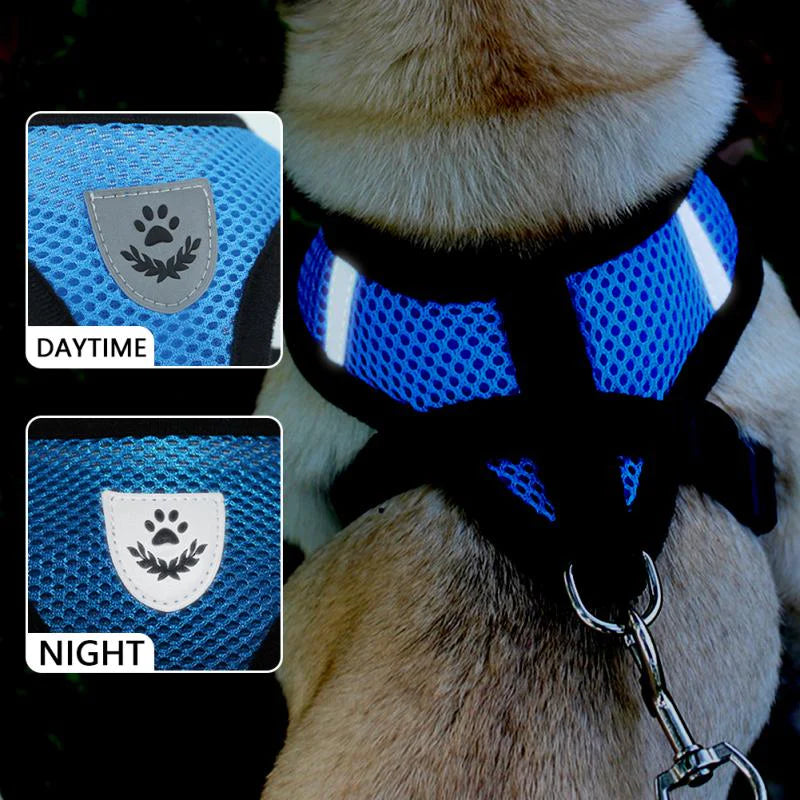 Ultimate Adjustable Reflective Pet Harness for Dogs and Cats - Escape-Proof Control Vest with Leash in S, M, L, XL
