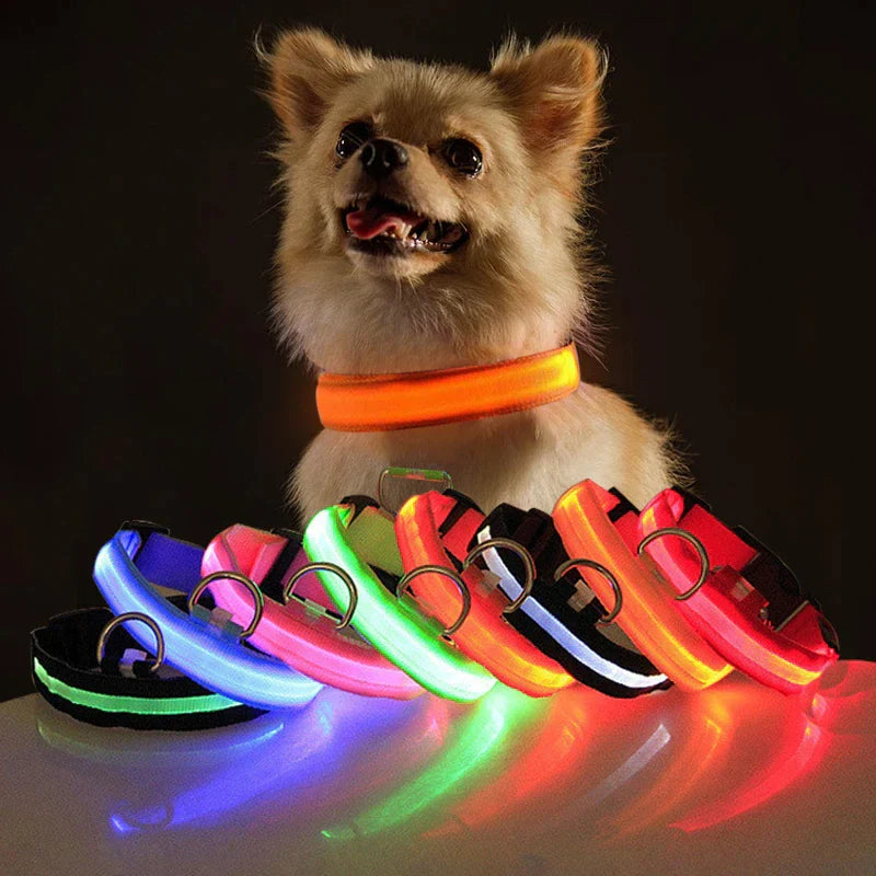 Illuminate Your Dog's Safety with Our LED Adjustable Blinking Collar – Waterproof and Stylish