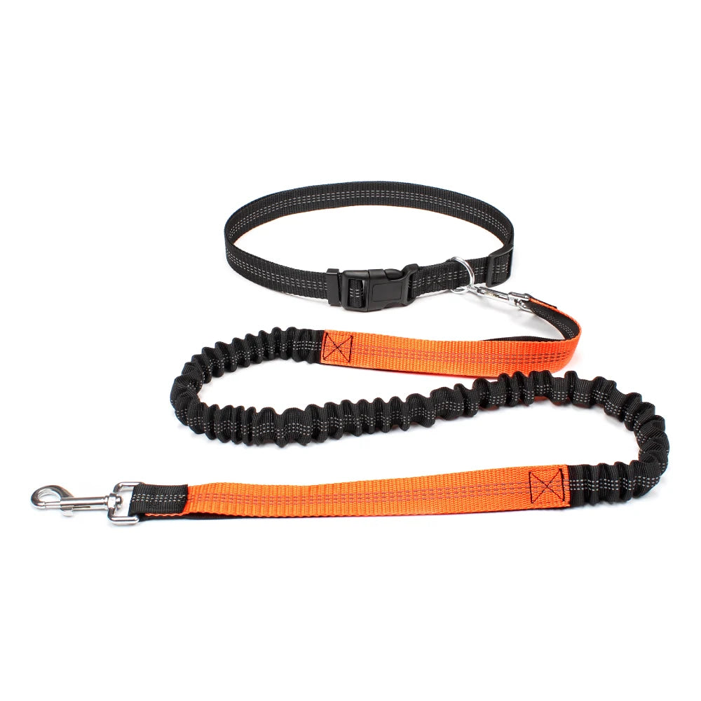 Experience Ultimate Freedom with Our Adjustable Hands-Free Dog Leash for Walking, Running, and Jogging!